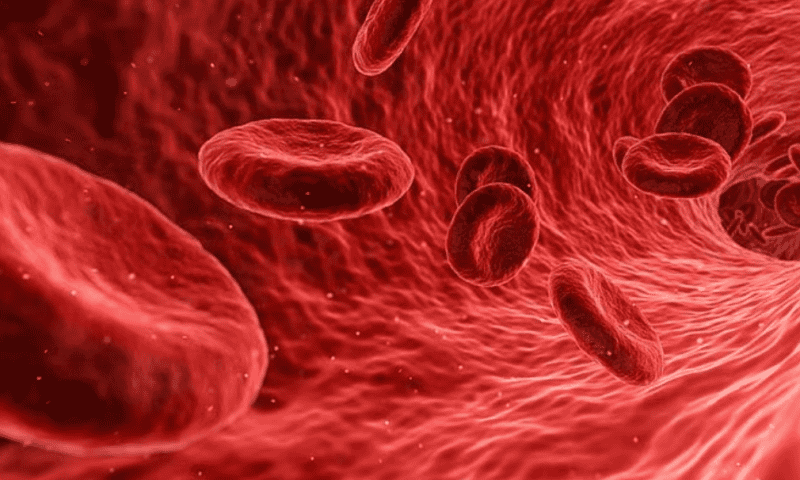 How gut enzymes could make universal donor blood possible