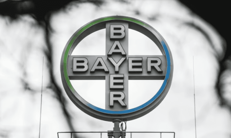 ‘We are firing on all cylinders’: Bayer pharma BD chief says group overhaul not slowing dealmaking