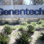 Genentech telegraphs 93 layoffs in California after sharing plans to shutter cancer immunology research unit