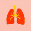 Merck, Daiichi rack up phase 3 ADC lung cancer win but report 2 deaths, immature OS data