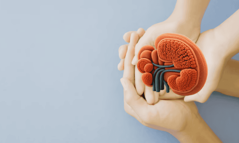 ProKidney halts one CKD cell therapy phase 3 trial considered surplus to FDA approval