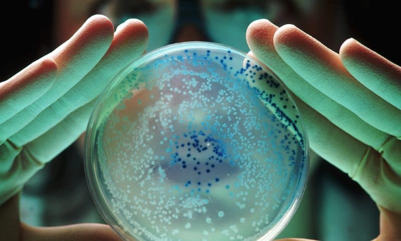 Antibiotic Resistance Linked to Extra Pump Proteins in Gram-Negative Bacteria