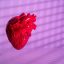 Macrophages in Newborn, But Not Adult, Mice Help Regenerate Heart Tissue