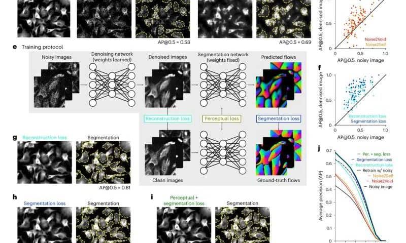 Newest version of cell-mapping tool can spot boundaries even in cloudy conditions