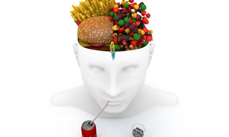 GLP-1 Drugs Effectiveness Reduced by Neurons That Control Overeating