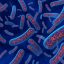 New Technologies Expand Microbe-Based Therapies Beyond the Gut