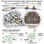 ‘Jumping gene’ caught in the act: Advanced imaging provides new insights into retrotransposons