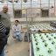 Computer vision system tracks plant growth to guide specialty crop monitoring