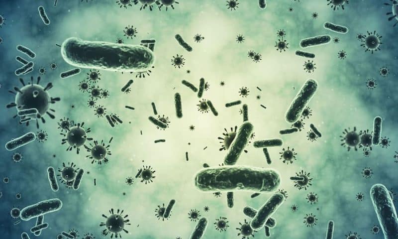 Novel enzyme found in gut bacteria could revolutionize prebiotic research