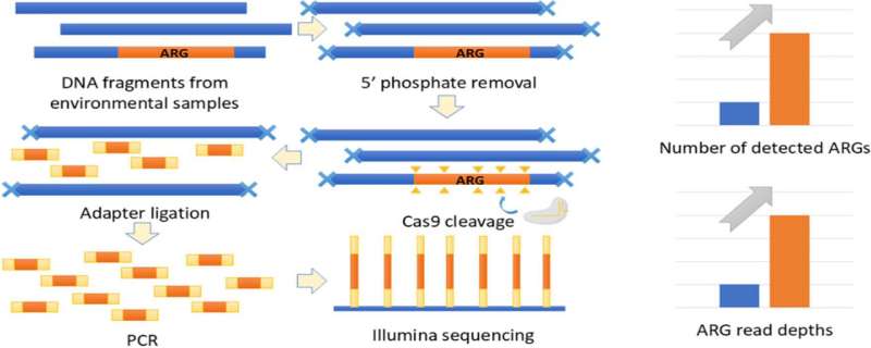 CRISPR-based method enhances detection of antibiotic resistance in wastewater