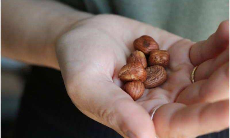 New method identifies rancid hazelnuts without removing them from the bag