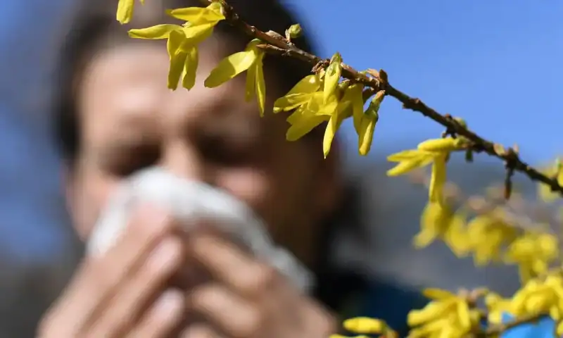 Are your allergies worse than usual? Here’s why, and what you can do to help