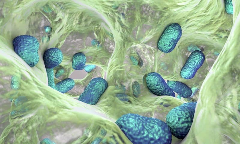 AI and Machine Learning as Transformative BioTools
