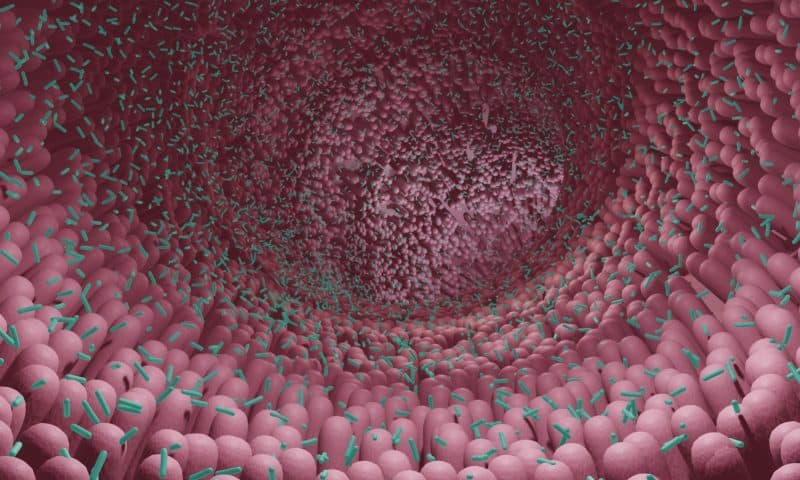 Targeting GI Drug Delivery with GlycoCaging Could Improve IBD Treatments