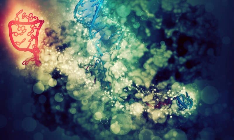 EvoCAST Harnesses CRISPR-Linked Bacterial Transposes to Insert Genes Into Human Cells