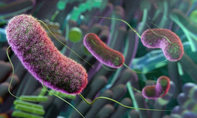 AI Uncovers Gut Signature Tied to Complex Regional Pain Syndrome
