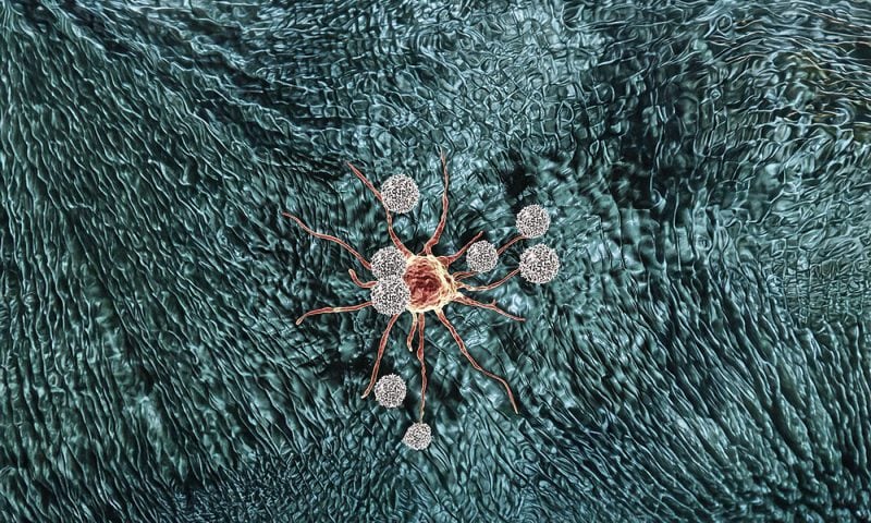 CRISPR-Edited TILs Fight Advanced Colorectal Cancer in Patients