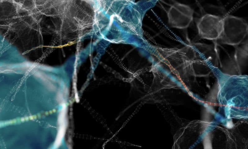 Diminished Stress Response in Aging Neurons Linked to Neurodegeneration
