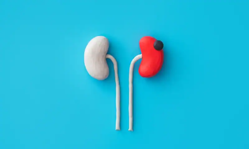 Otsuka Sees ‘Impressive’ Proteinuria Reduction in Phase III IgAN Trial