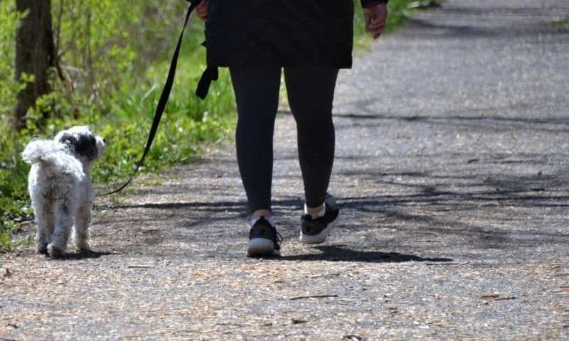 Longer walks linked to lower risk of chronic low back pain