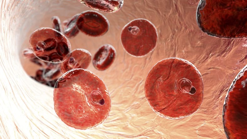 Mass Administration of Ivermectin Slows Malaria Transmission in Kenya