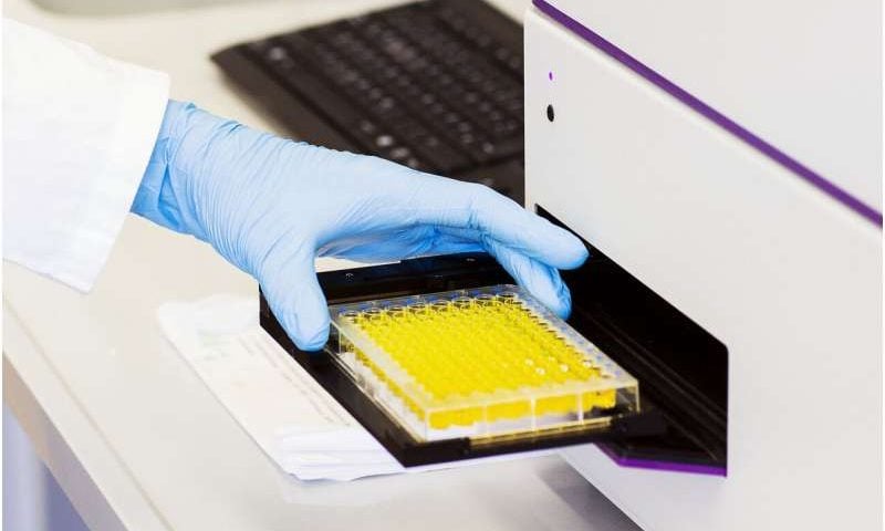 Beta-carotene keeps enzymes active under heavy load