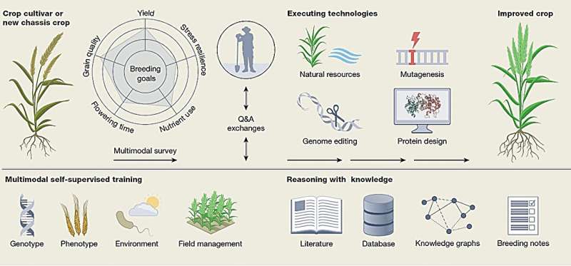 Scientists outline integrated AI-biotech approach to advance sustainable crop development