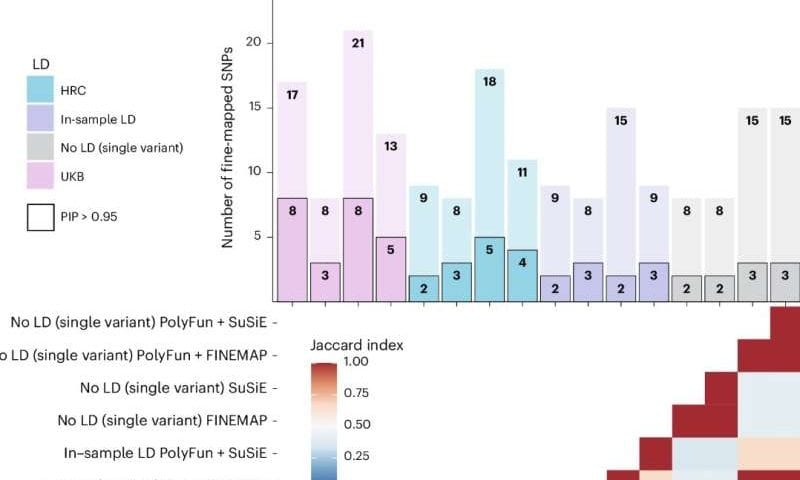 Genetic variants linked with higher risk of developing bipolar disorder