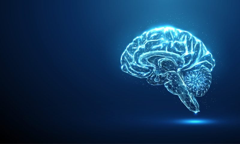 Serotonin Receptor Structural Insights Open Path for Psychiatric Drugs