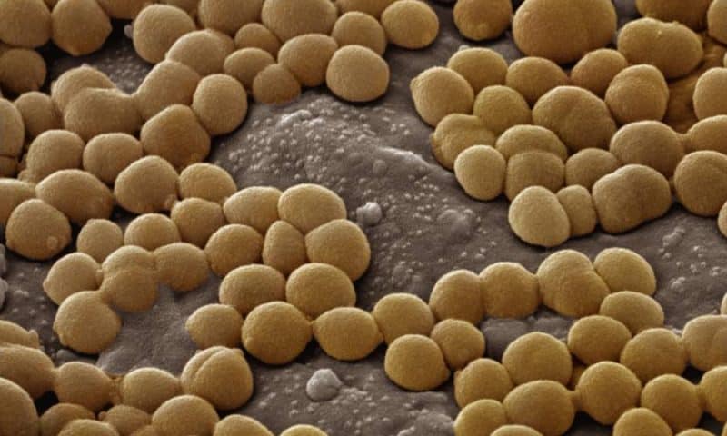 AI-Designed Molecules Show Potent Activity Against Resistant Bacteria