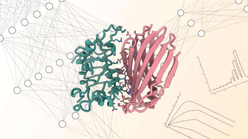 An open-source AI platform to democratize protein design