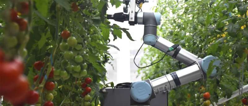 Flowers redesigned for robots: Gene editing and AI promise faster crop breeding