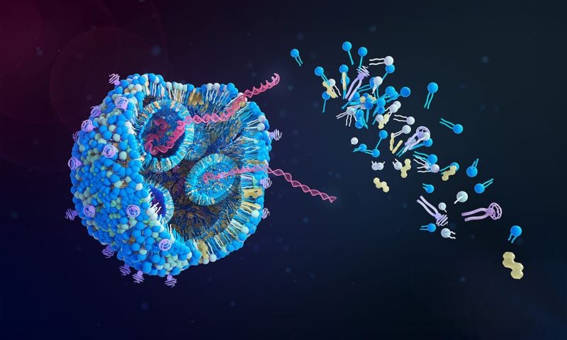 COMET’s Rocket Speed: AI-Designed Nanoparticles Accelerate mRNA Therapies