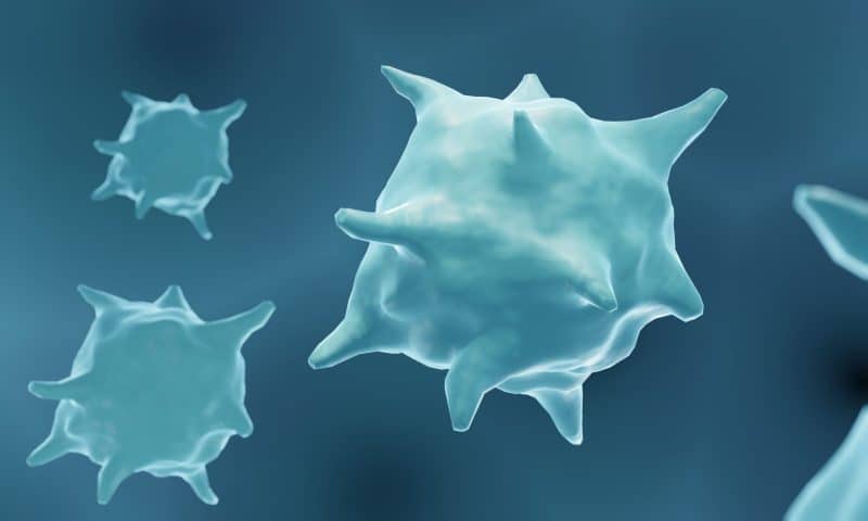 Human Macrophages “Reprogrammed” by Electrical Stimulation to Encourage Faster Healing