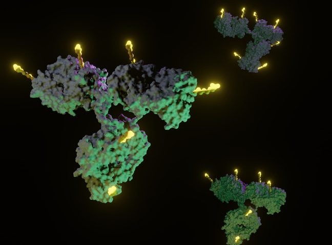 Lonza’s Synaffix Collaborates with Qurient Therapeutics on Dual-Payload ADC Development