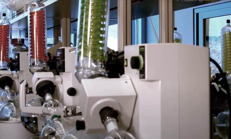 StockWatch: Ionis Scores on Phase III Data for Olezarsen