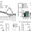 PA-915 molecule shows long-lasting antidepressant effects without common side effects in mice