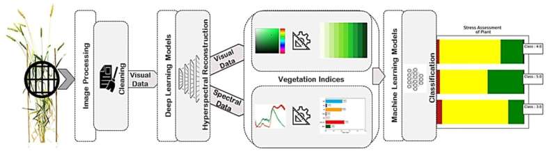 AI turns simple plant images into early drought warnings, giving crops a voice in the fight against water stress