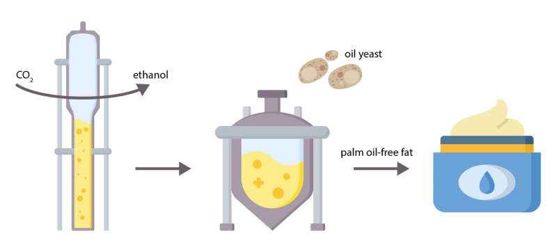 CO₂ recycling powers a new palm oil alternative for the cosmetics industry