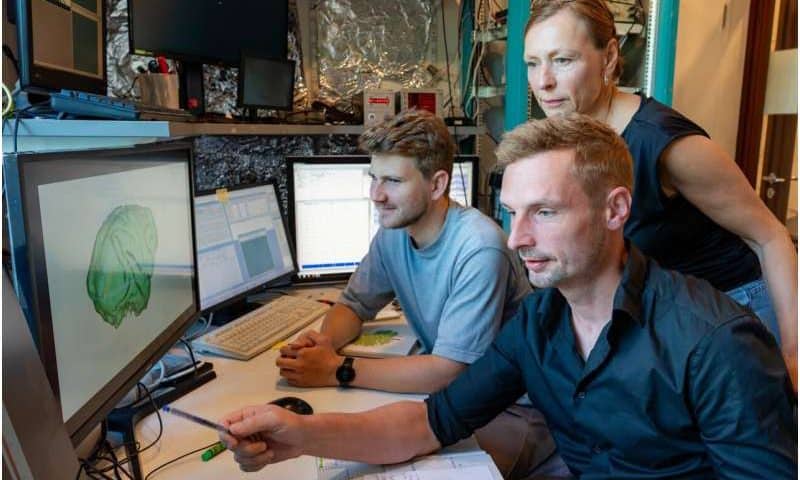 Neuroscientists show for first time that precise timing of nerve signals determines how brain processes information