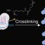 New tool pinpoints proteins that regulate gene activity in living cells