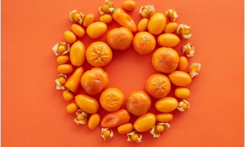 Plant-based nutrient can boost immune cells’ ability to fight cancer