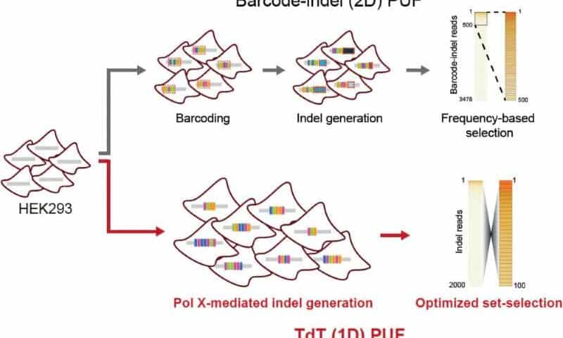 Researchers advance technology for protecting engineered cells