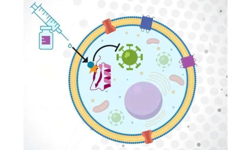 Scientists probe powerful molecular messaging system that goes beyond DNA
