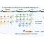 New method enables simultaneous synthesis of all 21 types of tRNA in vitro
