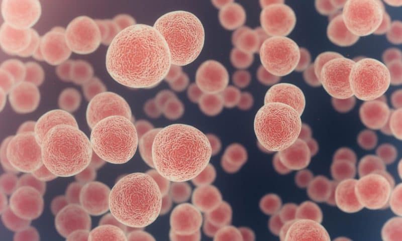 Tumor-Infiltrating Bacteria Drive Cancer Treatment Resistance