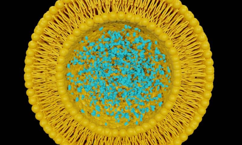 Targeted Drug Delivery Enhanced by Boolean Logic-Programmed Proteins