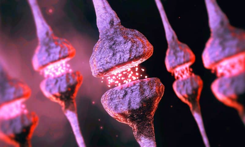 Cryo-ET Reveals “Kiss-Shrink-Run” Neurotransmission Mechanism