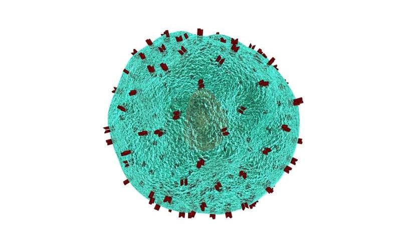 Five-patient lupus CAR T-cell feasibility test claims positive short-term results