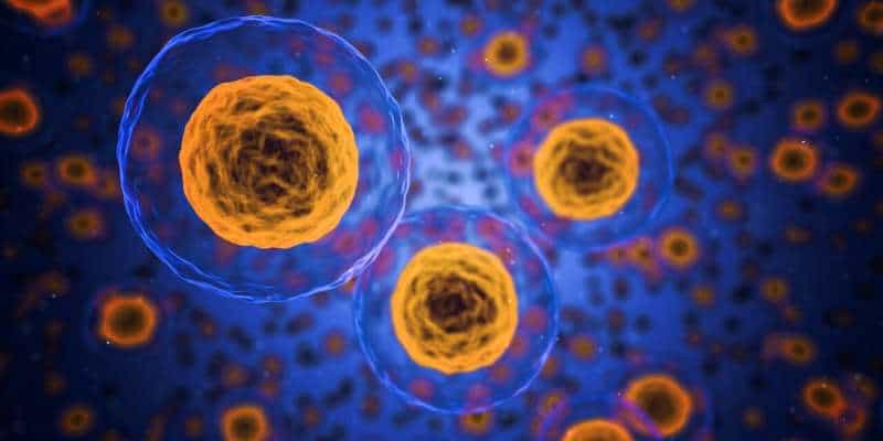 A framework for the discovery of cell state-correcting medicines